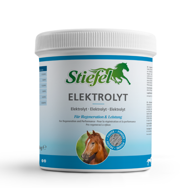 Stiefel Elektrolyt 1 kg