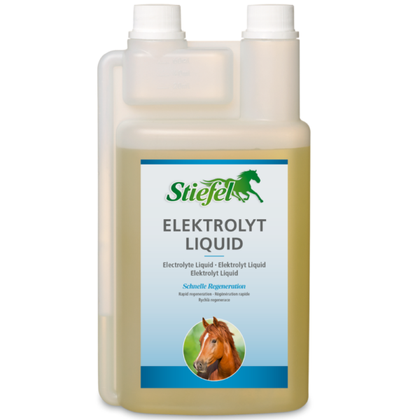 Stiefel Elektrolyt Liquid 1