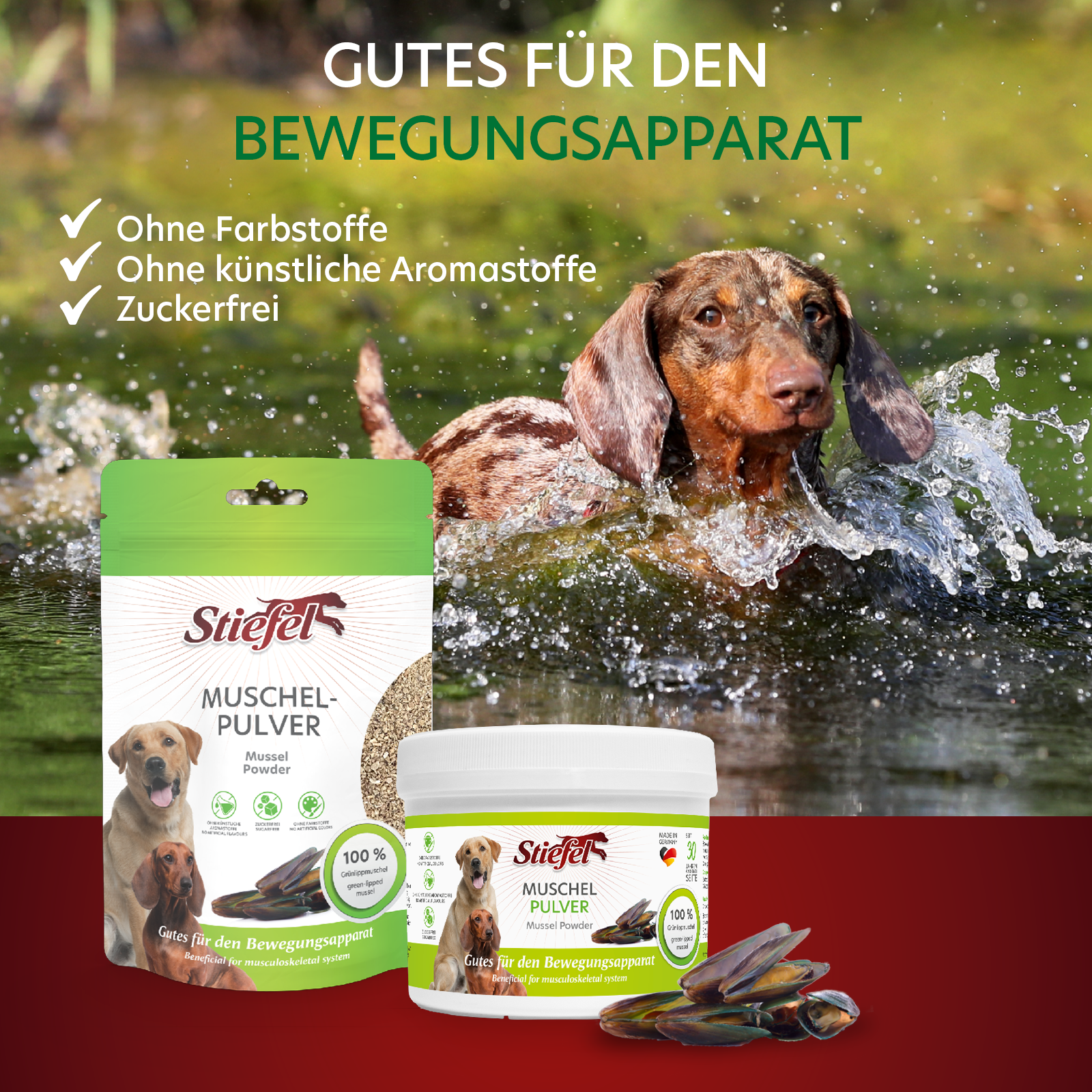 Gutes fuer den Bewegungsapparat