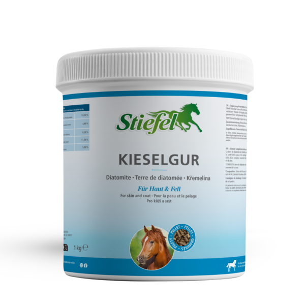 Stiefel Kieselgur 1 kg