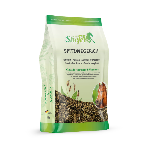 Stiefel Spitzwegerich 0,5 kg